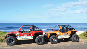 Dune Buggies In Front Of Beach