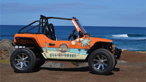 Dune Buggy In Front Of Beach